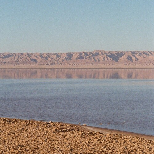 Dampé - Oil