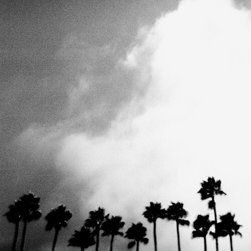 Richard Rose - Radiation Breeze