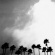 Richard Rose - Radiation Breeze Richard Rose - Radiation Breeze