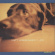 Jorgensen Matt - Hope Jorgensen Matt - Hope
