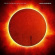 Coleman Steve - Morphogenesis Coleman Steve - Morphogenesis
