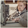 Jim Van Der Zee - Starting The.. -Digi- Jim Van Der Zee - Starting The.. -Digi-