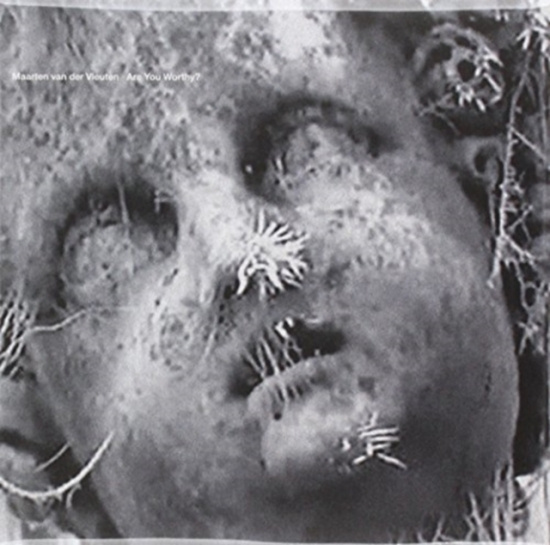 Vleuten Maarten Van Der - Are You Worthy