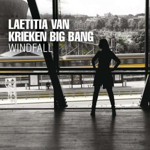Laetitia Van Krieken Big Bang - Windfall