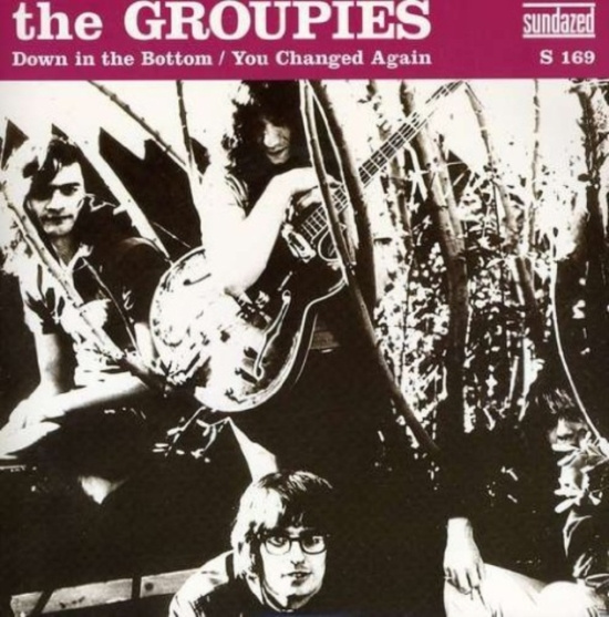 Groupies The - Down In The Bottom / You Changed Ag