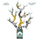 Chuck Johnson - Cinder Grove Chuck Johnson - Cinder Grove