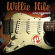 Blandade Artister - Willie Nile Uncovered Blandade Artister - Willie Nile Uncovered