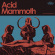 Acid Mammoth - Acid Mammoth Acid Mammoth - Acid Mammoth