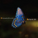 Elliot Richard - Authentic Life Elliot Richard - Authentic Life
