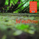 Fat Mattress - Fat Mattress (180G Vinyl + Postersl Fat Mattress - Fat Mattress (180G Vinyl + Postersl