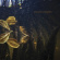 Placid Angels - Touch The Earth (3X12 Placid Angels - Touch The Earth (3X12