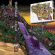 Sharkula X Mukqs - Take Caution On The Beach Sharkula X Mukqs - Take Caution On The Beach