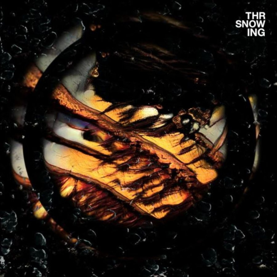 Throwing Snow - Dragons (Marbled Orange Vinyl)