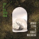 Johnny Flynn - Lost In The Cedar Wood Johnny Flynn - Lost In The Cedar Wood