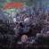 Suffocation - Effigy Of The Forgotten Suffocation - Effigy Of The Forgotten