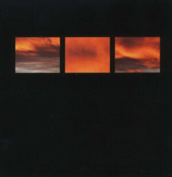 Pilia Stefano - Suncrows Fall And Tree