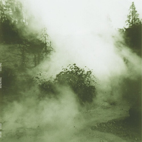 Siebe Megan - Swaying Steady
