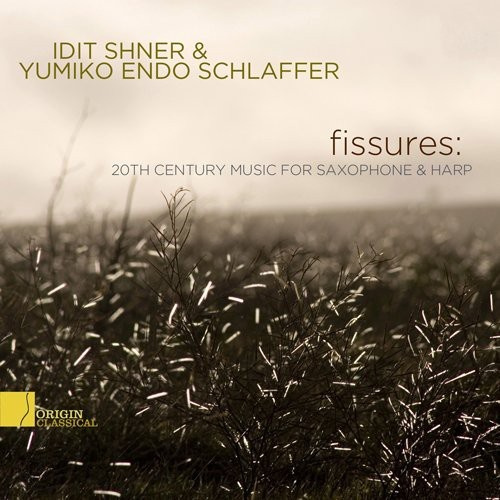 Sher Idit/Yumiko Endo Schlaffer - Fissures: 20Th Century..