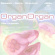 Various - Organorgan Various - Organorgan