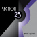 Section 25 - Nature And Degree Section 25 - Nature And Degree