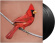 Alexisonfire - Old Crows / Young Cardinals Alexisonfire - Old Crows / Young Cardinals