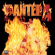 Pantera - Reinventing The Steel (MARBLED YELLOW VI Pantera - Reinventing The Steel (MARBLED YELLOW VI
