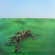 Squid - Bright Green Field (Indie Exclusive Squid - Bright Green Field (Indie Exclusive