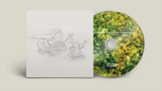 Big Thief - Dragon New Warm Mountain I Believe