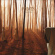 Anekdoten - A Time Of Day Anekdoten - A Time Of Day