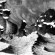 Blut Aus Nord - Ultima Thulee (Digipack) Blut Aus Nord - Ultima Thulee (Digipack)