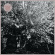 Papercuts - Parallel Universe Blues Papercuts - Parallel Universe Blues