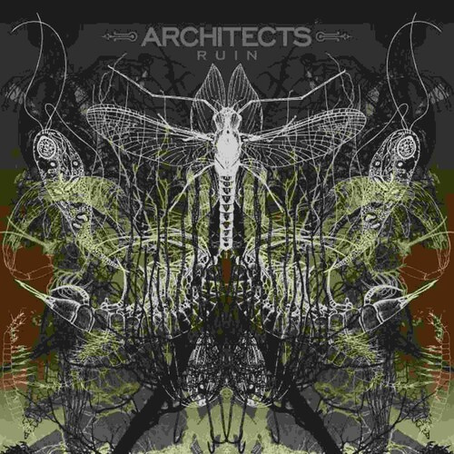 Architects - Ruins