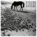 Various - Bartok, Ligeti, Veress & Eotvos: So Various - Bartok, Ligeti, Veress & Eotvos: So