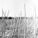 Recondite - On Acid (2022) Recondite - On Acid (2022)