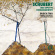 Schubert Franz - Trio, Op. 99 Forellenquintett Schubert Franz - Trio, Op. 99 Forellenquintett