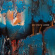 Bird Streets - Lagoons Bird Streets - Lagoons