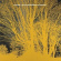Nada Surf - The Stars Are Indifferent To Astron Nada Surf - The Stars Are Indifferent To Astron