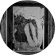Fabio Orsi - Il Ricordo Improvviso Dell'assoluto Fabio Orsi - Il Ricordo Improvviso Dell'assoluto