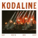 Kodaline - Our Roots Run Deep Kodaline - Our Roots Run Deep