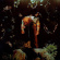 Cavetown - Worm Food Cavetown - Worm Food