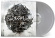 Scar Symmetry - Dark Matter Dimensions Scar Symmetry - Dark Matter Dimensions