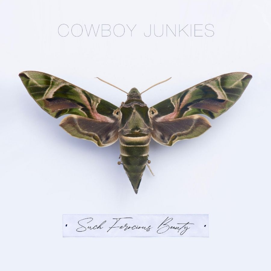 Cowboy Junkies - Such Ferocious Beauty (Tan Transluc