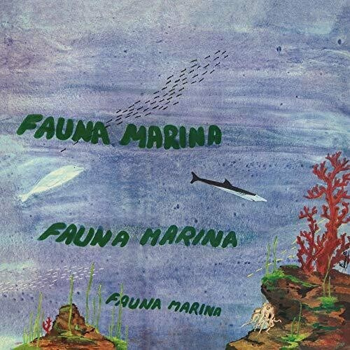 MACCHI EGISTO - FAUNA MARINA