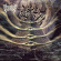 Negative Vortex - Tomb Absolute Negative Vortex - Tomb Absolute