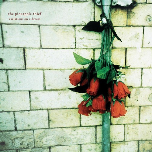 Pineapple Thief The - Variations On A Dream