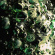 SCALER - LOAM / NEW SYMBOLS (GREEN TRANSPARE SCALER - LOAM / NEW SYMBOLS (GREEN TRANSPARE