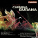 Orff - Carmina Burana Orff - Carmina Burana