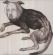 Thee Oh Sees - Putrifiers Ii Thee Oh Sees - Putrifiers Ii