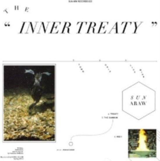 Sun Araw - The Inner Treaty