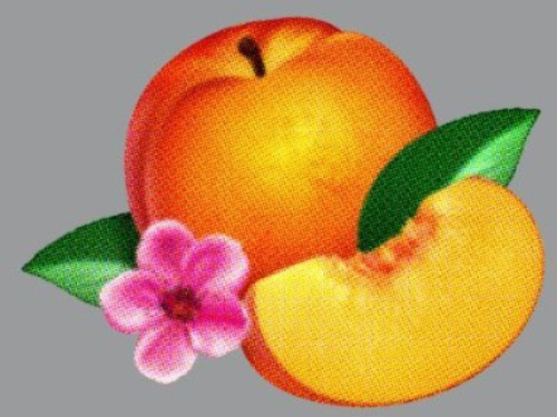 Phoenix - Bankrupt!